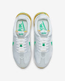 Nike Air Max PRE-DAY (DQ4068-002)