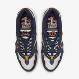 Nike Air Max 96 II QS (DJ6742-400)