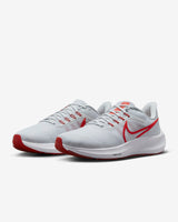 Nike Pegasus 39 (DH4071-009)