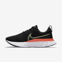 Nike React Infinite Run Flyknite 2 (CT2423-008)