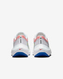 Nike Zoom Flight 5 Premium (DX1599-100)
