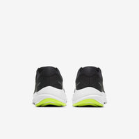 Nike Air Zoom Structure 23 (CZ6720-010)