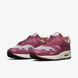 Nike Air Max 1 x Patta (DO9549-001)