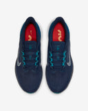 Nike Air WINFLO 9 (DD6203-401)