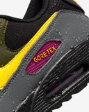 Nike Air Max 90 GTX (DJ9779-001)