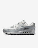 Nike Air Max 90 GTX (DJ9779-003)