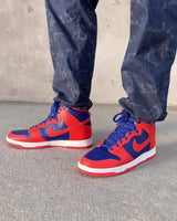 Nike Dunk High Retro (DD1399-800)