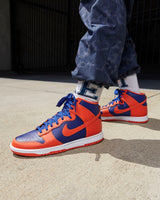 Nike Dunk High Retro (DD1399-800)