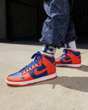 Nike Dunk High Retro (DD1399-800)