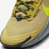 Nike Pegasus Trail 3 GORE-TEX (DC8793-300)