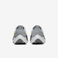Nike Air Zoom Pegasus 38 (CW7356-005)