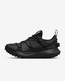Nike ACG Mountain Fly Low Gore-Tex SE (DD2861-002)