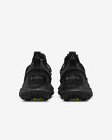 Nike ACG Mountain Fly Low Gore-Tex SE (DD2861-002)