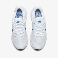 Nike Air Zoom Structure 24 (DA8535-100)