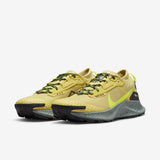 Nike Pegasus Trail 3 GORE-TEX (DC8793-300)