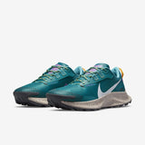 Nike Pegasus Trail 3 (DA8697-300)