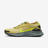 Nike Pegasus Trail 3 GORE-TEX (DC8793-300)