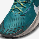 Nike Pegasus Trail 3 (DA8697-300)