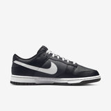 Nike Dunk Low Retro (DJ6188-002)